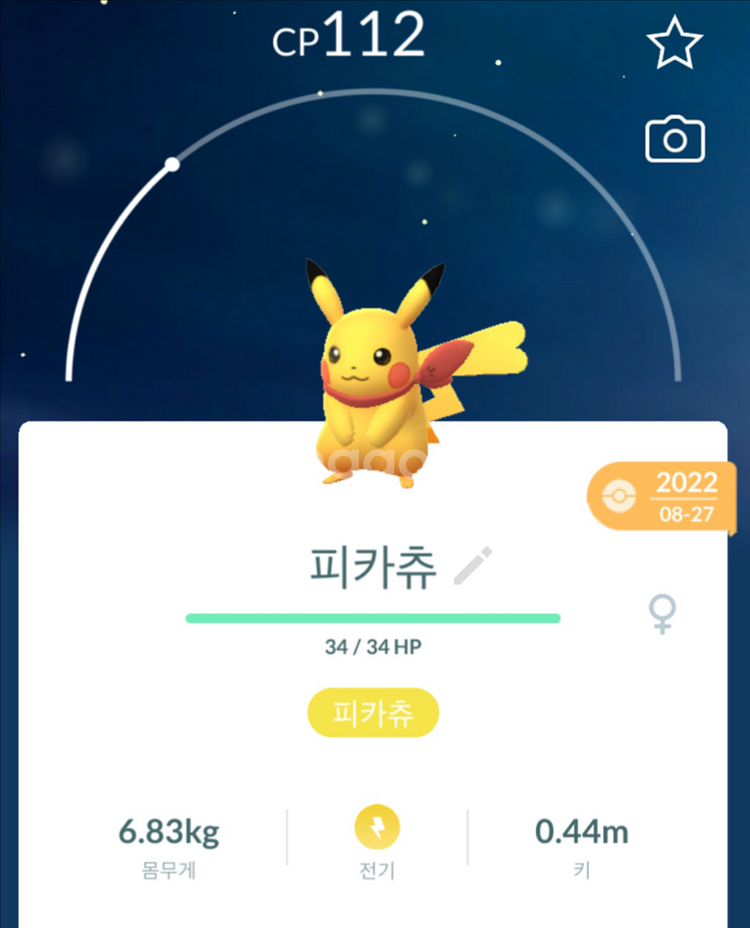 포켓몬고 코스튬 피카츄 팝니다--3