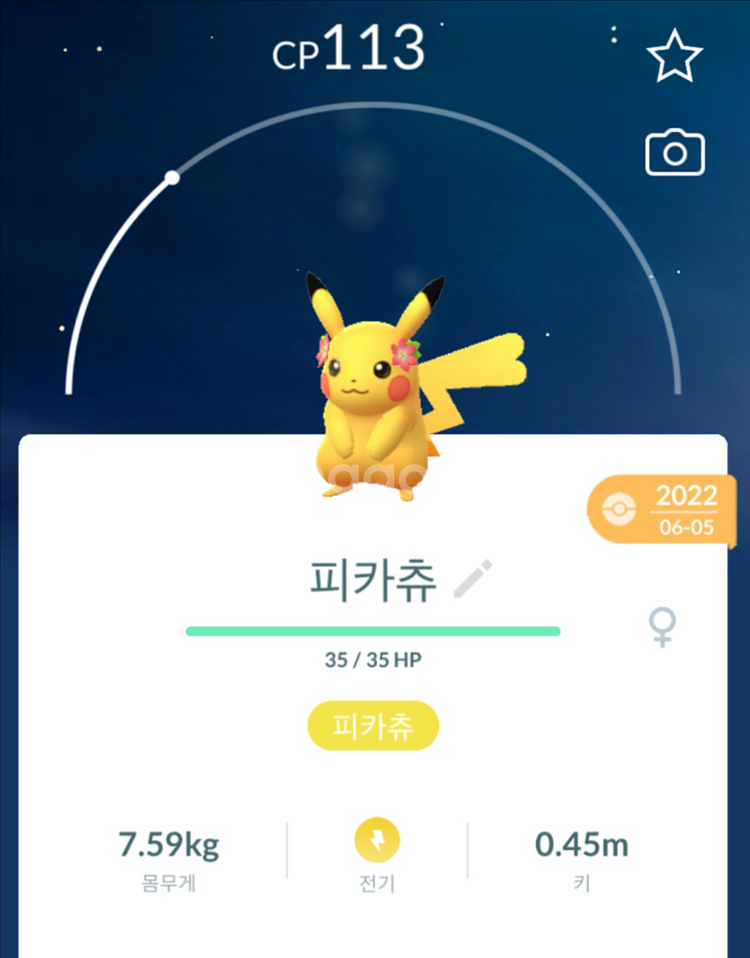 포켓몬고 코스튬 피카츄 팝니다--0