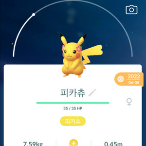 포켓몬고 코스튬 피카츄 팝니다