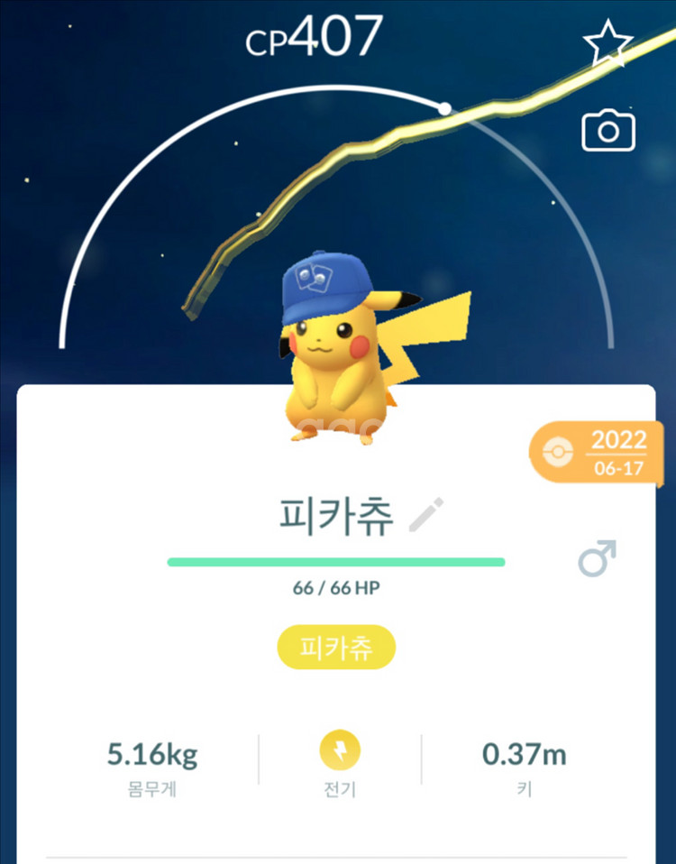 포켓몬고 코스튬 피카츄 팝니다--1
