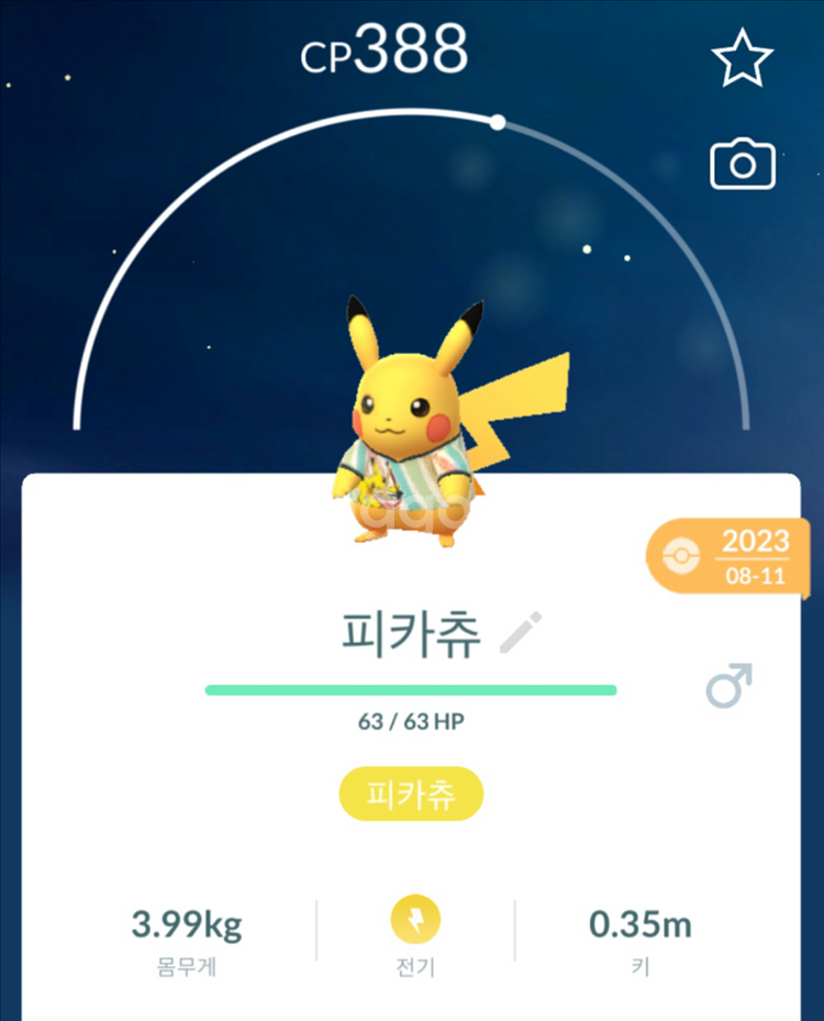 포켓몬고 코스튬 피카츄 팝니다--6