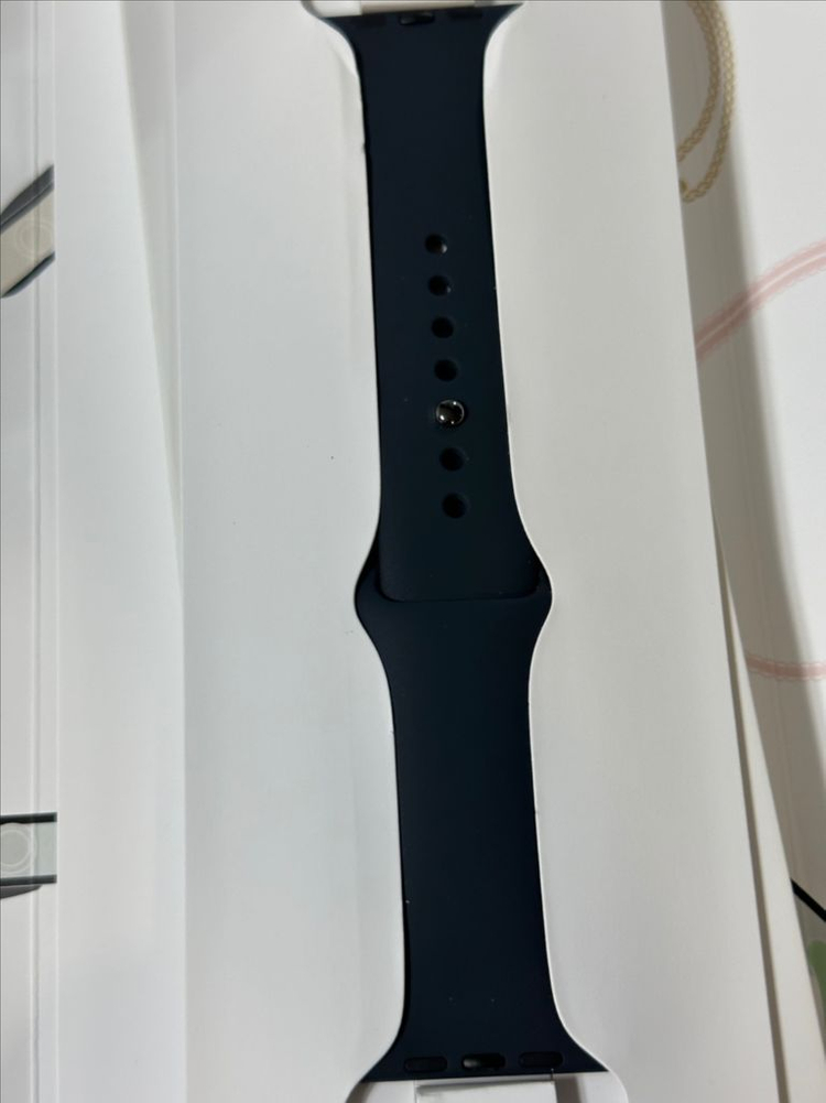 애플워치9 스테인리스 45mm 스포츠루프 배터리100 이미지