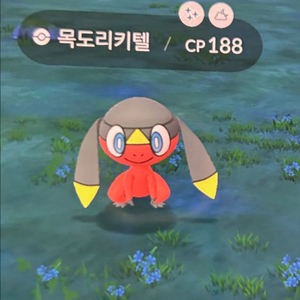 포켓몬고 경험치 대리