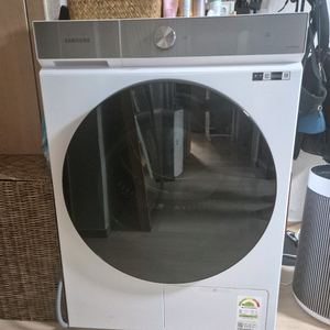 삼성 건조기 17kg