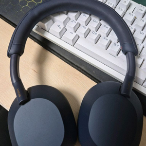 소니 wh1000xm5 블루