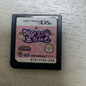 닌텐도 ds 메이크업프린세스