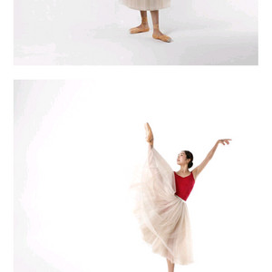 레브당스 성인발레 아망딘 소프트 튜튜 66