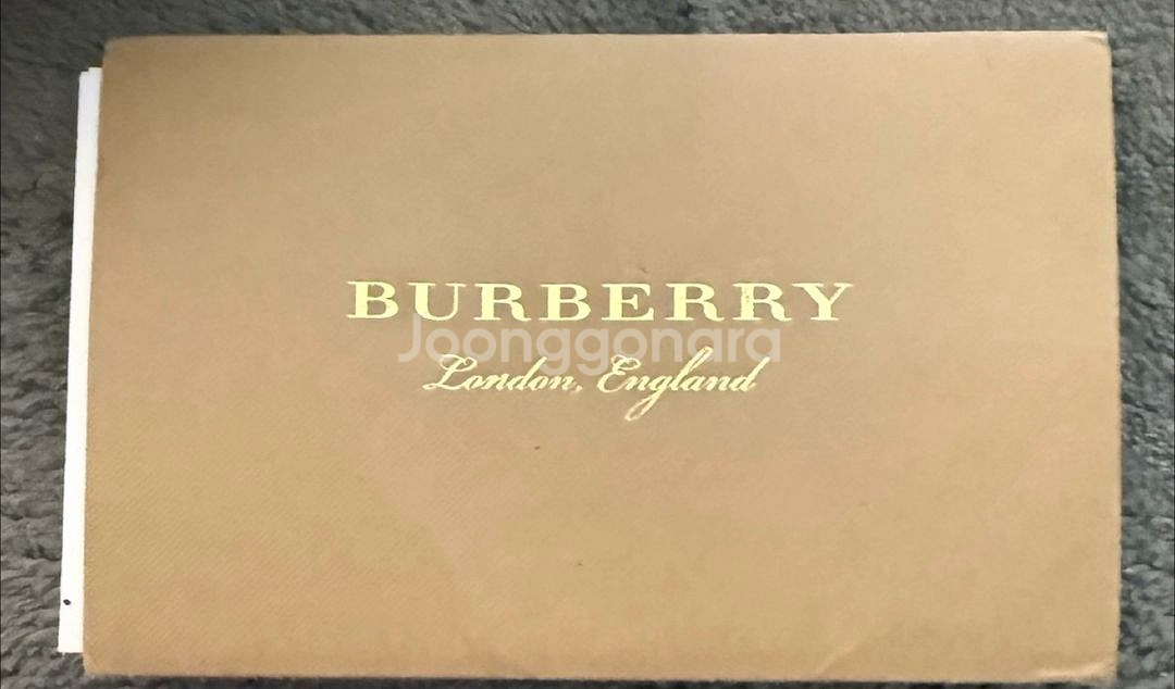 버버리 전지현 호보백 브라운--7