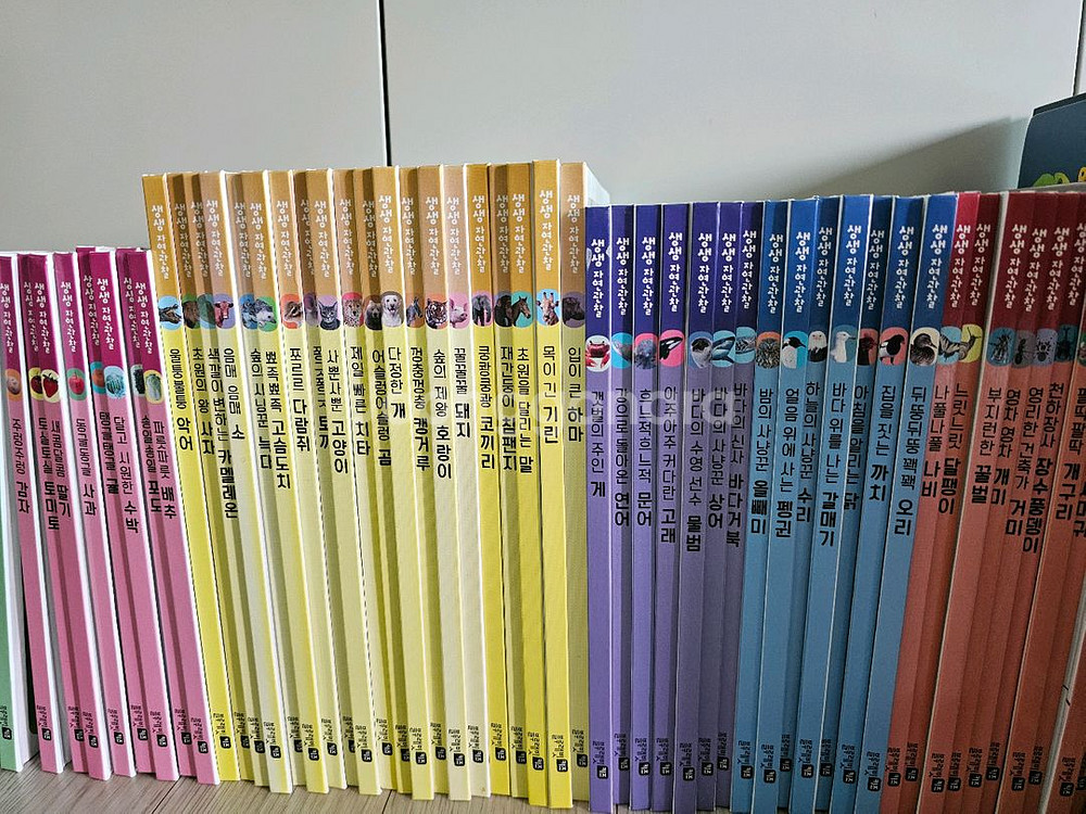 블루래빗 키즈 생생자연관찰 전집 60권--0