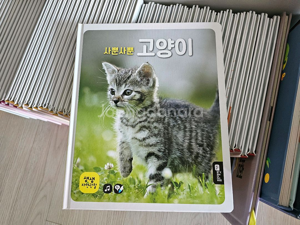 블루래빗 키즈 생생자연관찰 전집 60권--2