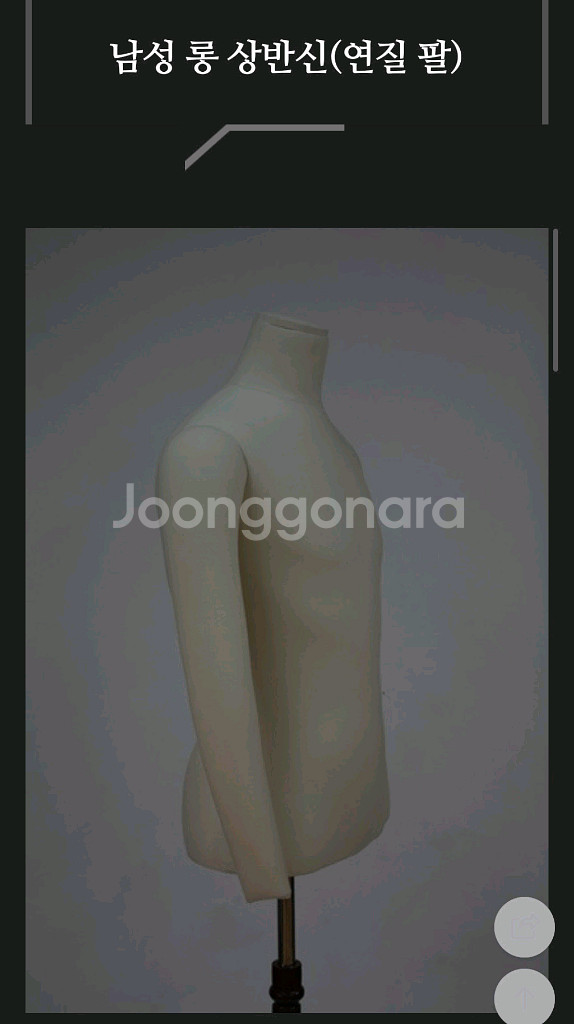 남자 마네킹(상반신)[새상품]--1