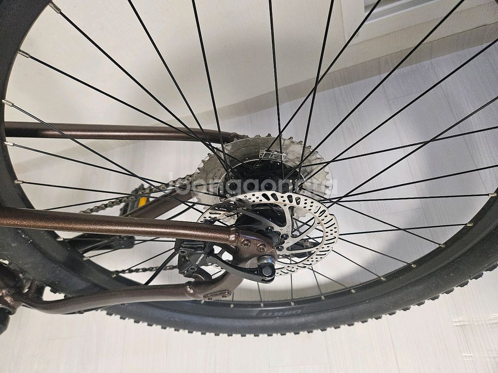 자이언트 타론1 xs사이즈 상태최상--1