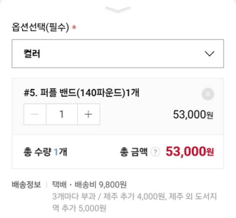 미국 로그 피트니스 몬스터 풀업밴드 퍼플 (140파운드--2