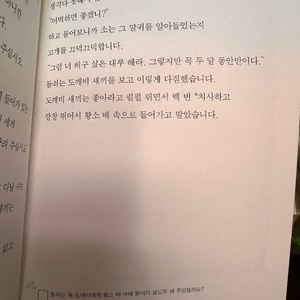 주니어 플라톤 전집 50권