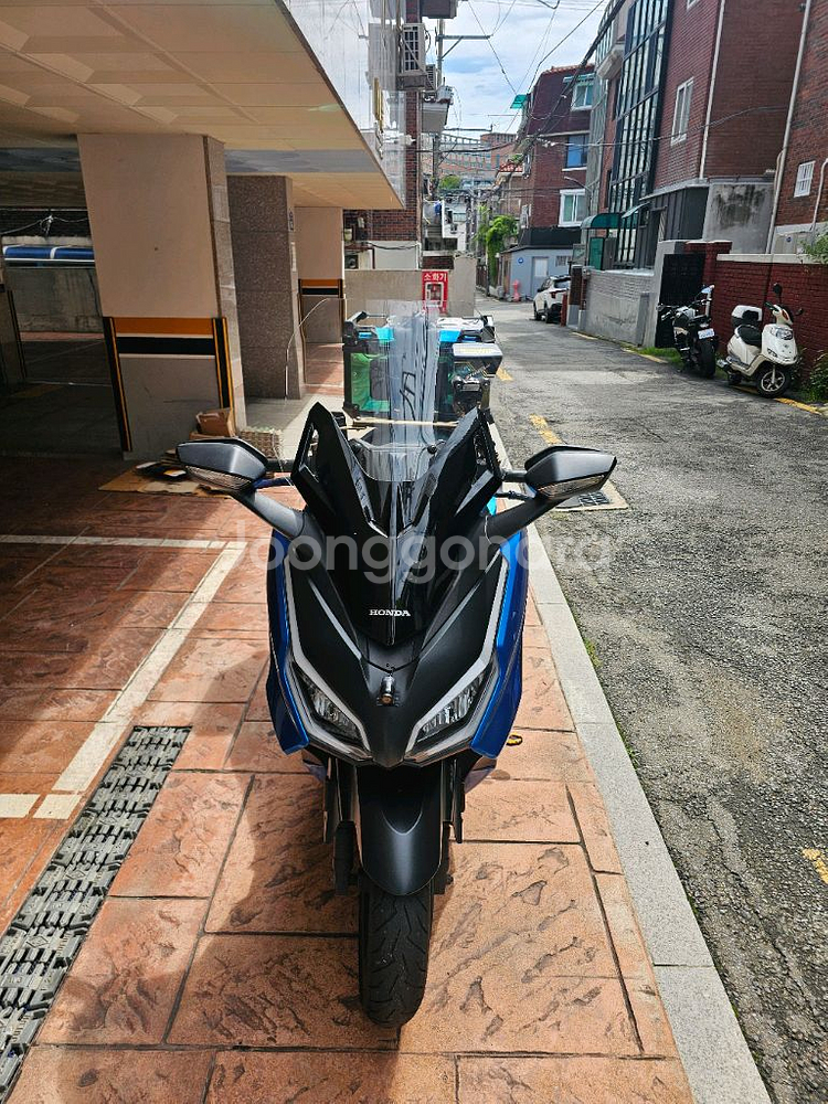 포르자350 23년식 블루색상--0