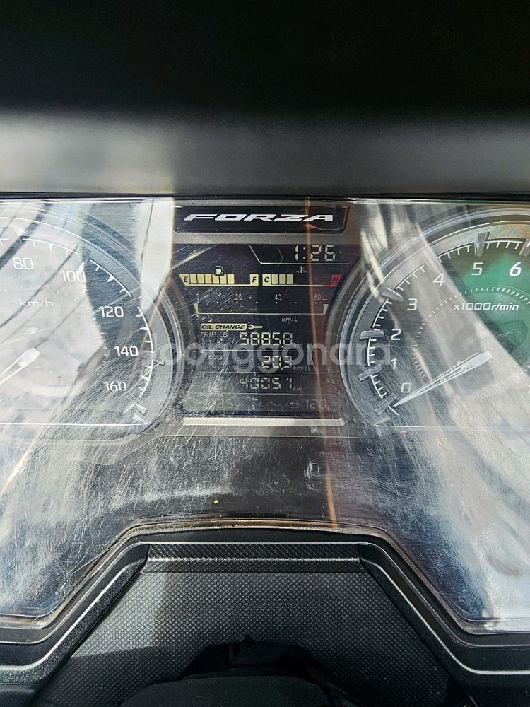 포르자350 23년식 블루색상--6