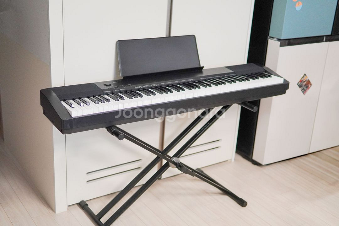 입문용 디지털피아노의 정석, 카시오 CDP-135--0