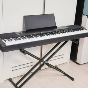 입문용 디지털피아노의 정석, 카시오 CDP-135