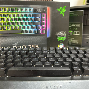 레이저 블랙위도우 v4 pro 75%