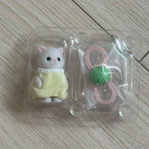 실바니안 아기바다 페르시안 거북이