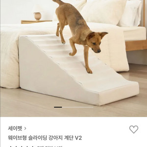 세이펫 강아지 계단 s