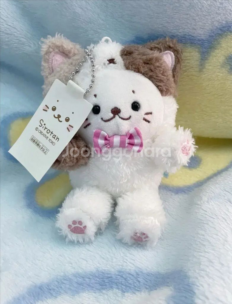 고양이 시로탄 인형--0
