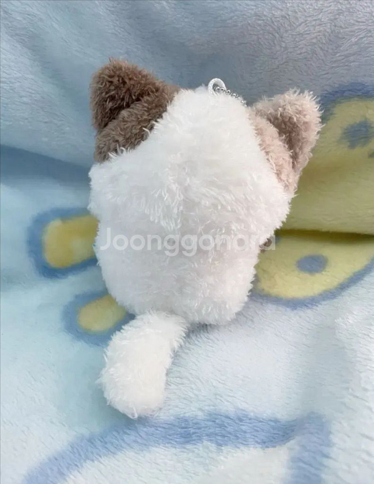 고양이 시로탄 인형--1