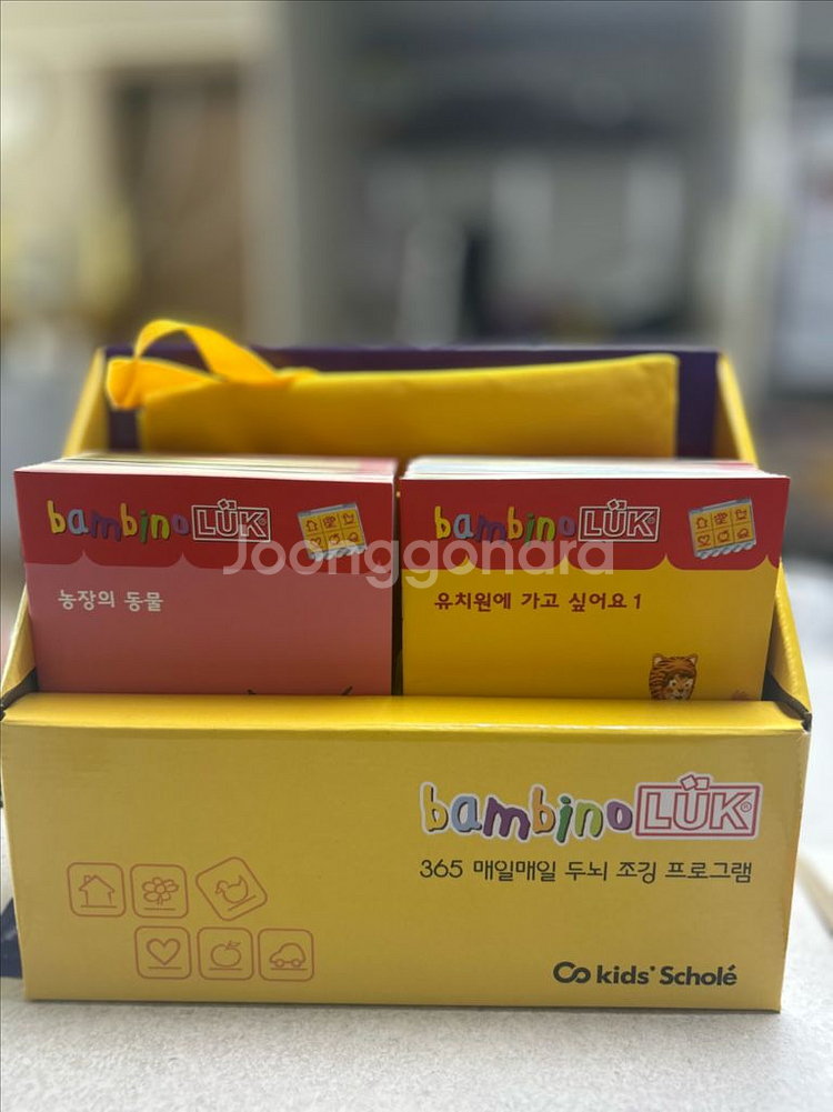 밤비노루크 전구성(키즈스콜레)--1