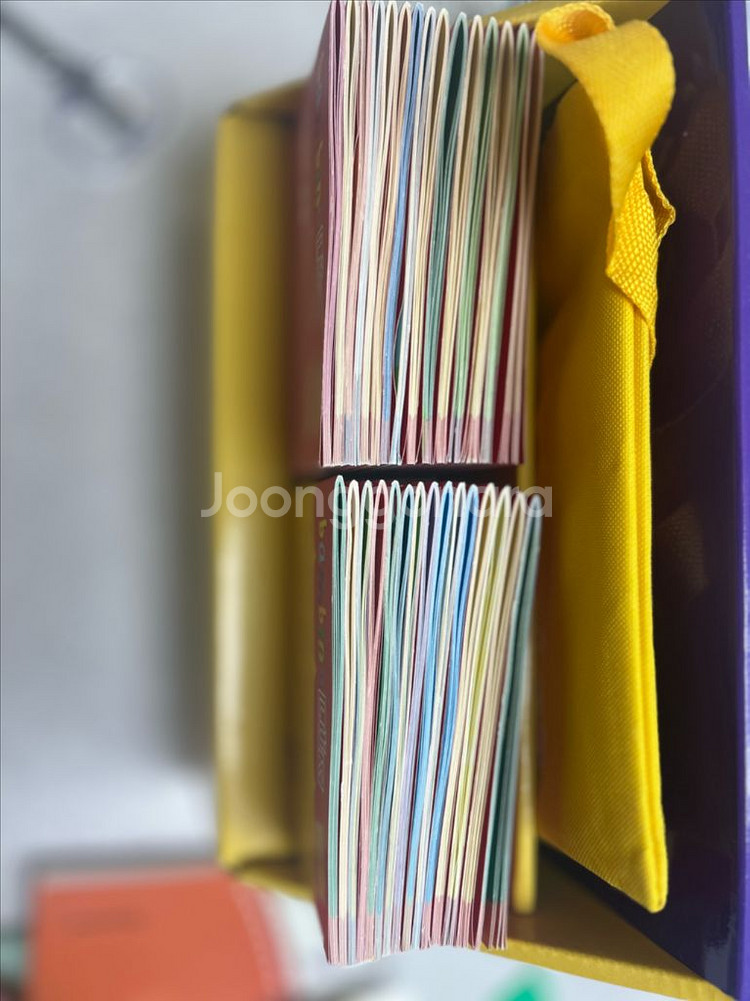 밤비노루크 전구성(키즈스콜레)--3