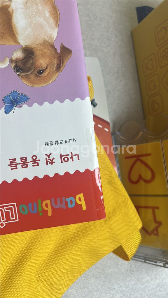 밤비노루크 전구성(키즈스콜레)--6