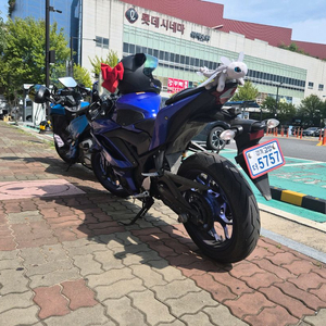 20년식 야마하YZF R3 판매&대차