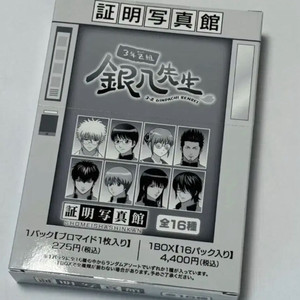 은혼 삼젯 증명사진 증사 긴토키 카구라 히지카타 소고