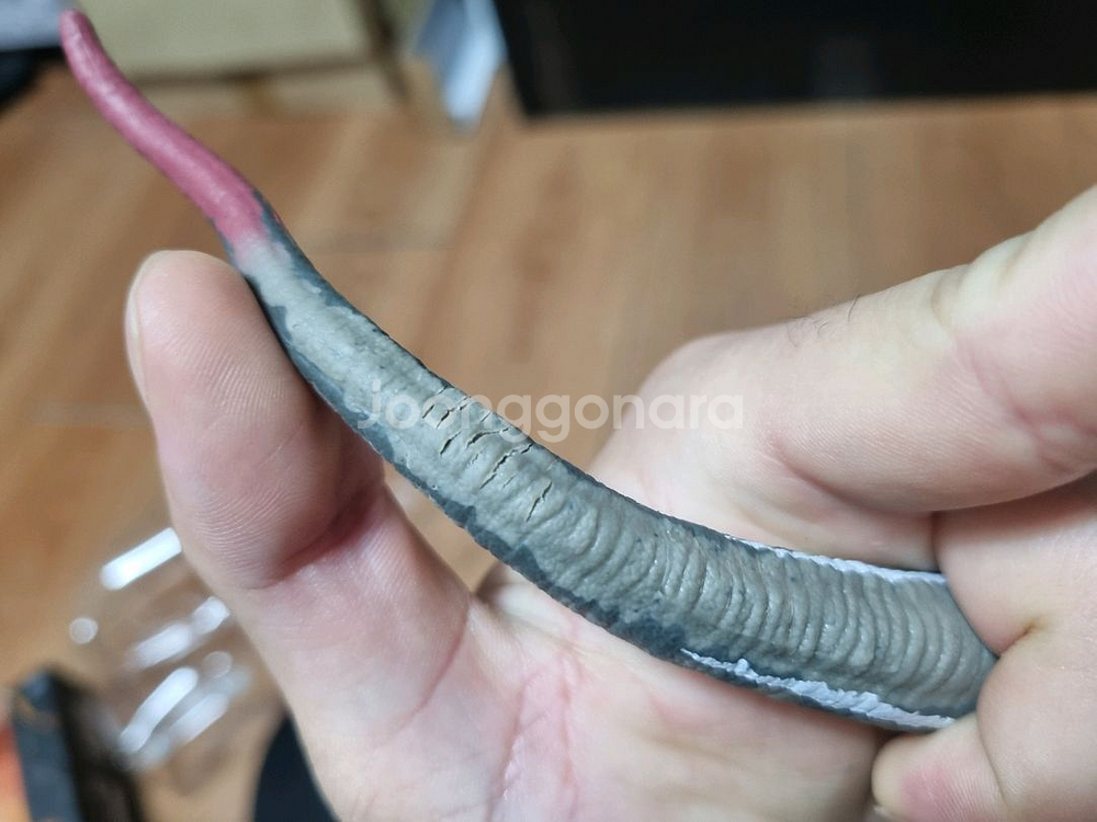 마텔 쥬라기공원3 앰버 컬렉션 벨로시랩터 공룡 피규어--9