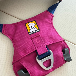 러프웨어 하네스 핑크 xxs사이즈 부산