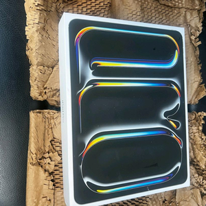 ((미개봉))아이패드프로 13 M4 256기가