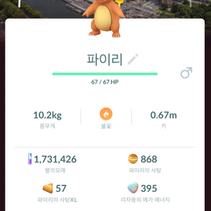 포켓몬고 프랑스 배경 3종 파이리 판매합니다