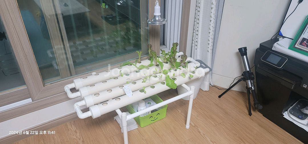 수경재배기 야채 상추재배 LED 식물 청경채 재배--0