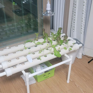 수경재배기 야채 상추재배 LED 식물 청경채 재배