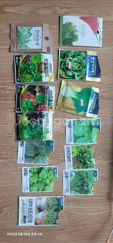 수경재배기 야채 상추재배 LED 식물 청경채 재배--4