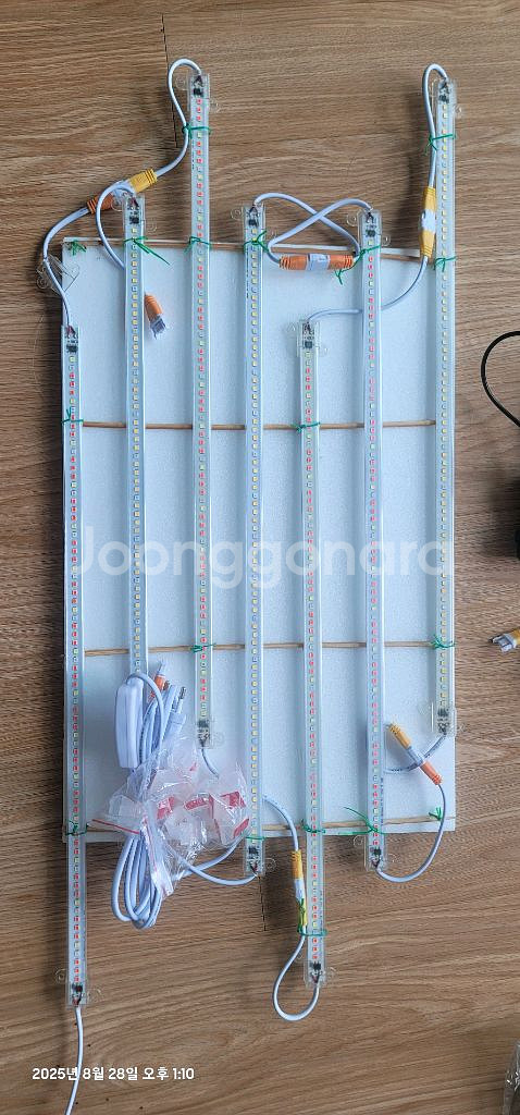 수경재배기 야채 상추재배 LED 식물 청경채 재배--6