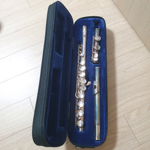 악기 셋트 플루투 목관악기 플룻 독일 음악