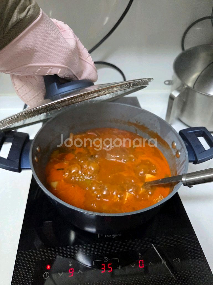 sk매직 핫플레이트 2구 인덕션 프리스탠딩--3