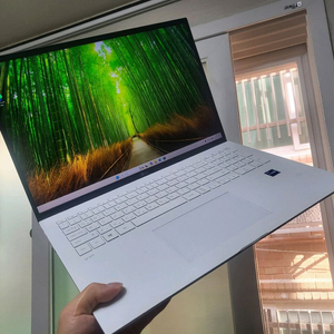 17인치 1TB i7 엘지 그램 노트북