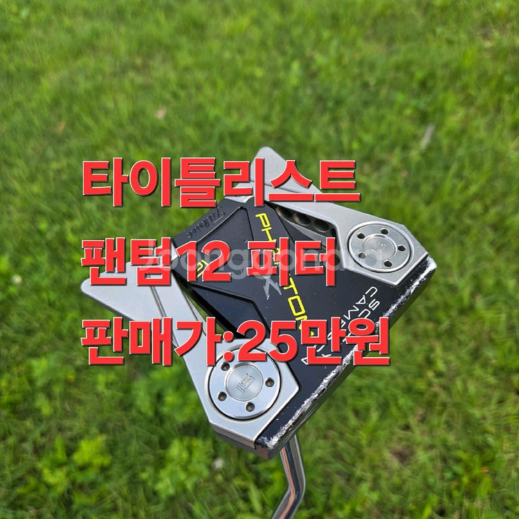 타이틀리스트 팬텀 12 퍼터--0