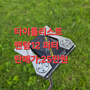 타이틀리스트 팬텀 12 퍼터