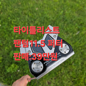 타이틀리스트 팬텀 11.5 보호필름 부착 퍼터