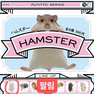 키탄클럽 컵위의 PUTITTO 햄스터 1탄 피규어 가챠