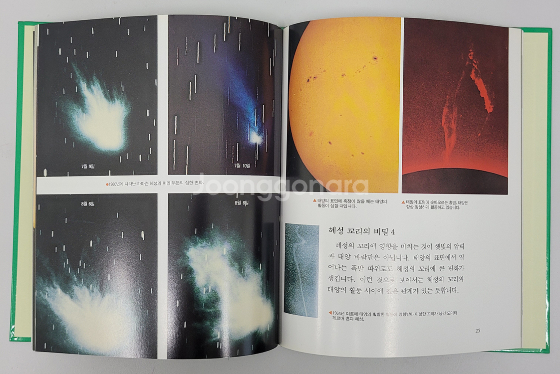 웅진 어린이과학탐험 A+급 퀄리티 (16권)--3