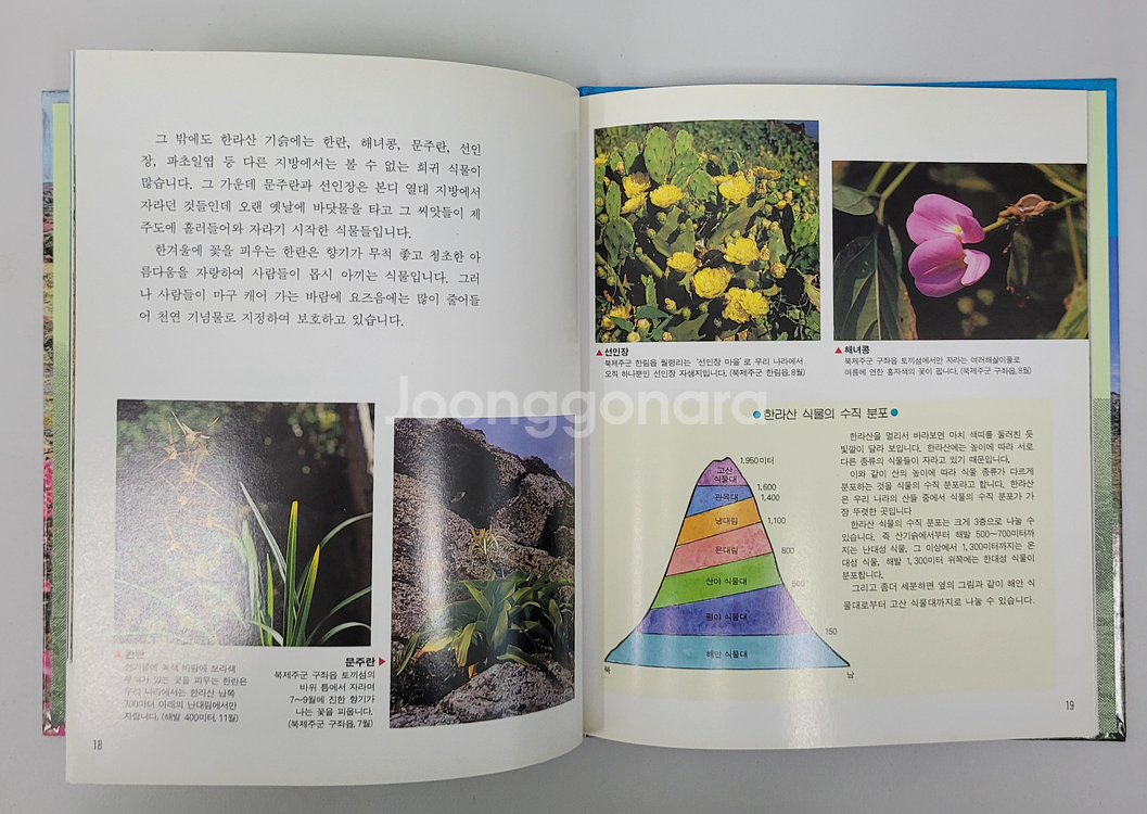 웅진 한국의 자연 탐험 A+급 퀄리티 (70권)--3