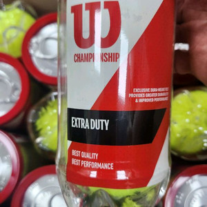 윌슨 챔피쉽 테니스공 24캔